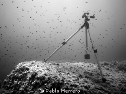 my tripod resting on the bottom... by Pablo Herrero 